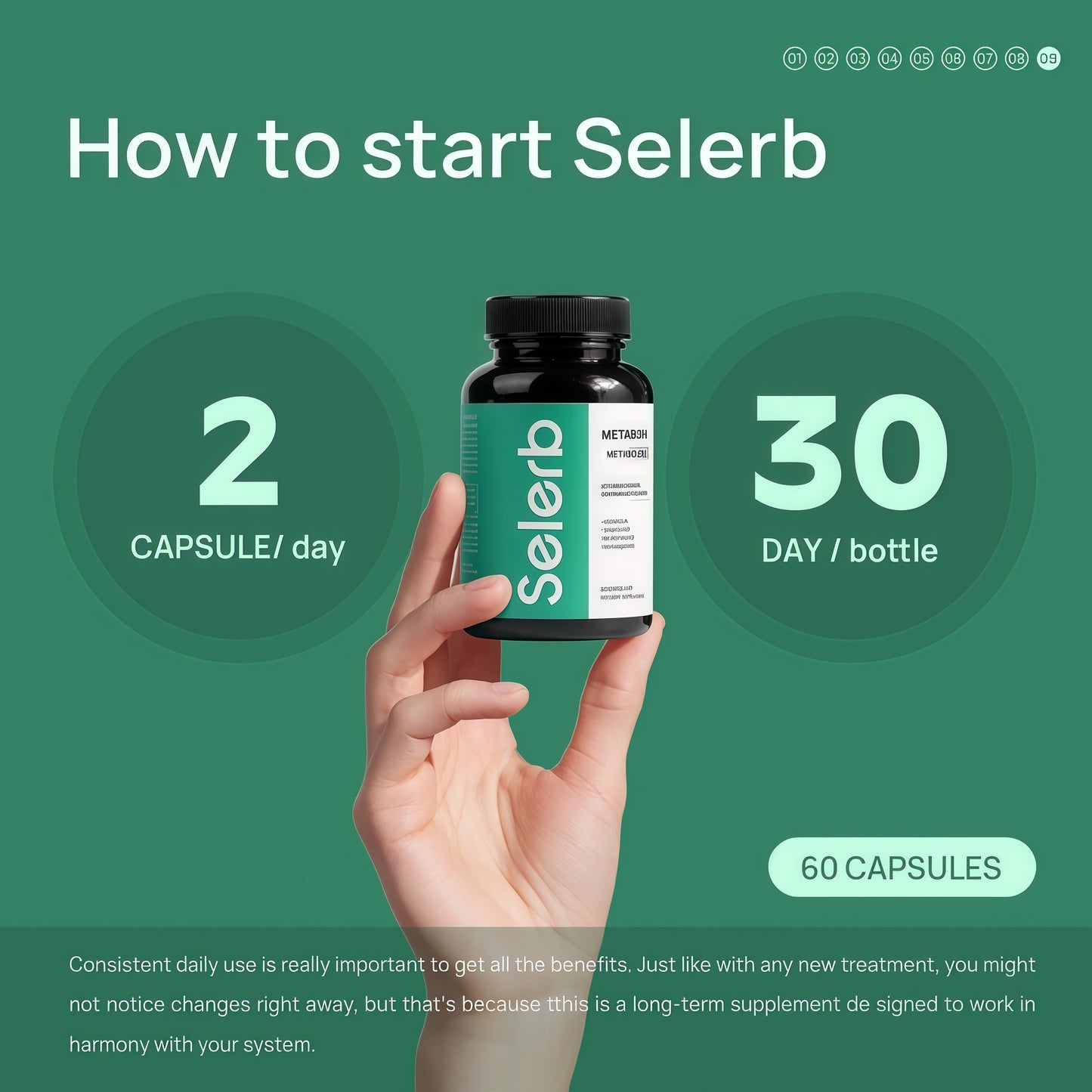 Selerb Berberine + Green Tea + B12 Complex - Gentle Plant-Based Formula with Chromium - 60 Capsules