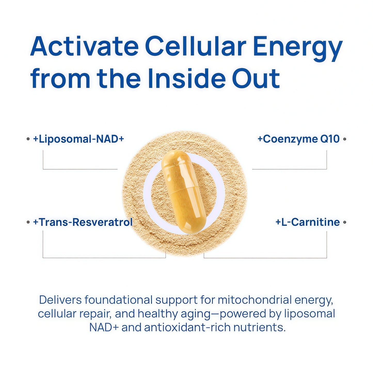 Selerb NAD+ Supplements for Men – Nitric Oxide Prostate Health Supplements for Men with Resveratrol, CoQ10, L Citrulline and Lycopene for Anti-Aging, Stamina & Cellular Energy Support 60 Capsules